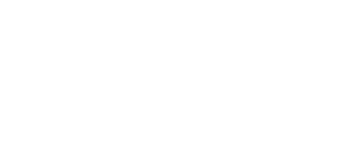 Pacific Synergy Group